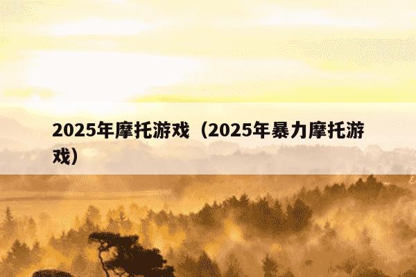 2025年摩托游戏（2025年暴力摩托游戏）