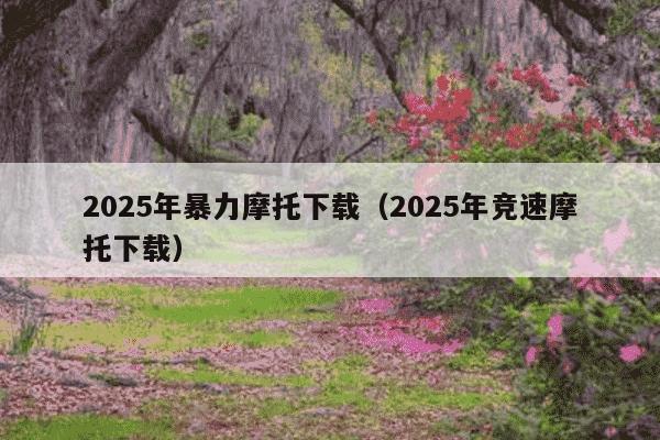 2025年暴力摩托下载（2025年竞速摩托下载）