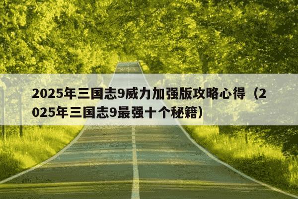 2025年三国志9威力加强版攻略心得（2025年三国志9最强十个秘籍）