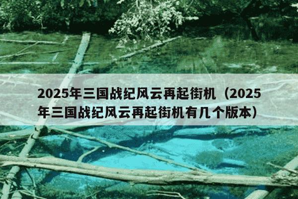 2025年三国战纪风云再起街机（2025年三国战纪风云再起街机有几个版本）