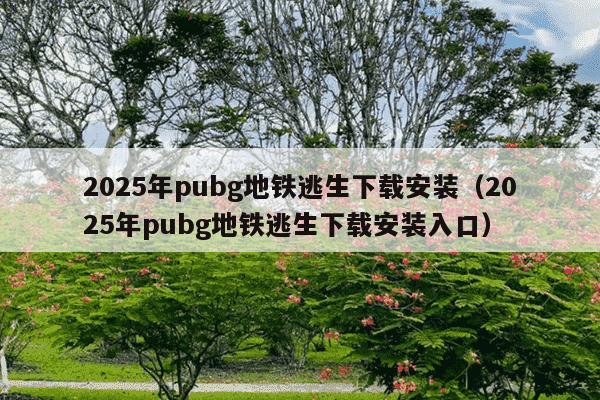 2025年pubg地铁逃生下载安装（2025年pubg地铁逃生下载安装入口）