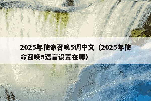 2025年使命召唤5调中文（2025年使命召唤5语言设置在哪）