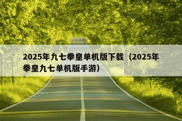 2025年九七拳皇单机版下载（2025年拳皇九七单机版手游）