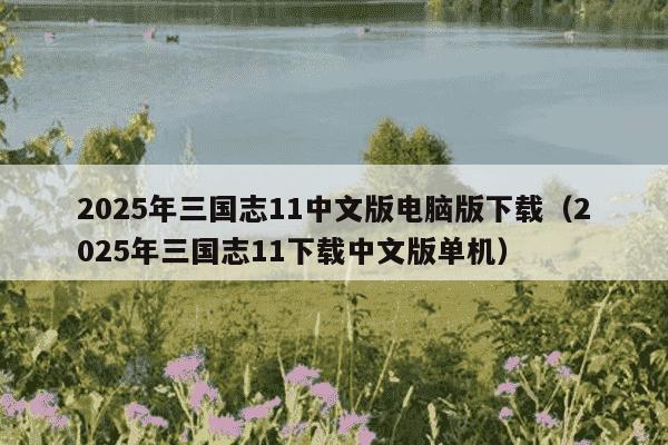2025年三国志11中文版电脑版下载（2025年三国志11下载中文版单机）