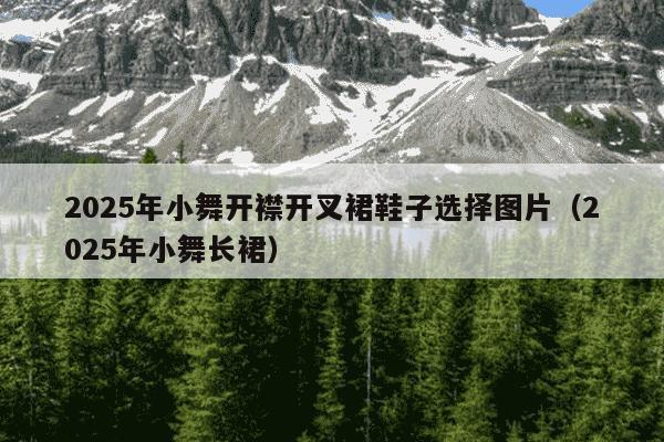 2025年小舞开襟开叉裙鞋子选择图片（2025年小舞长裙）