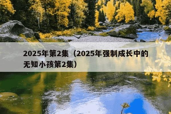 2025年第2集（2025年强制成长中的无知小孩第2集）