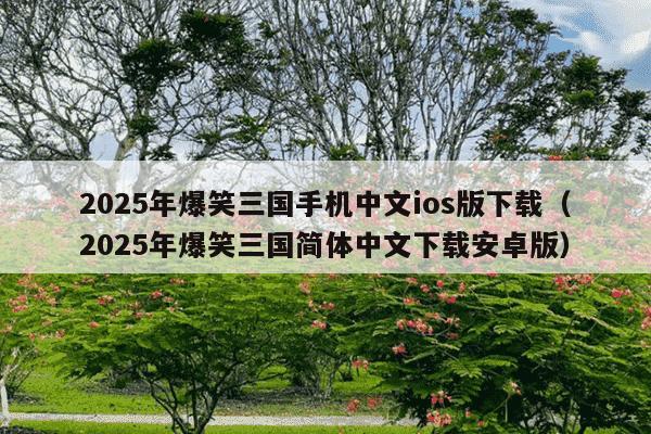 2025年爆笑三国手机中文ios版下载（2025年爆笑三国简体中文下载安卓版）