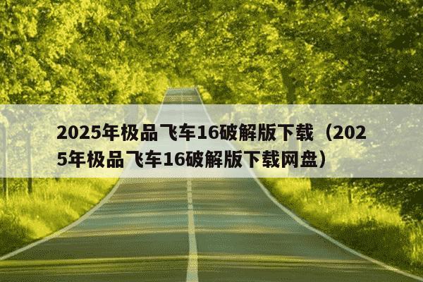 2025年极品飞车16破解版下载（2025年极品飞车16破解版下载网盘）