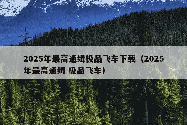 2025年最高通缉极品飞车下载（2025年最高通缉 极品飞车）