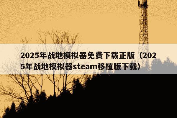 2025年战地模拟器免费下载正版（2025年战地模拟器steam移植版下载）