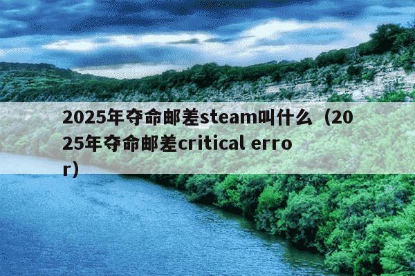 2025年夺命邮差steam叫什么（2025年夺命邮差critical error）