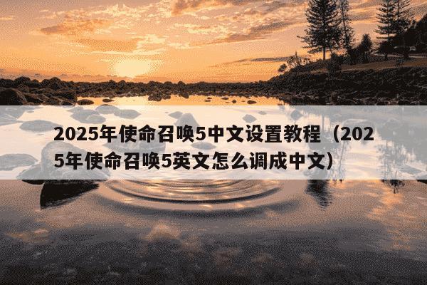 2025年使命召唤5中文设置教程（2025年使命召唤5英文怎么调成中文）