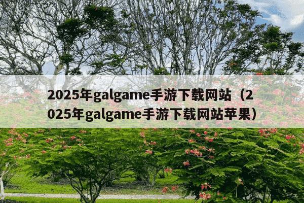 2025年galgame手游下载网站（2025年galgame手游下载网站苹果）