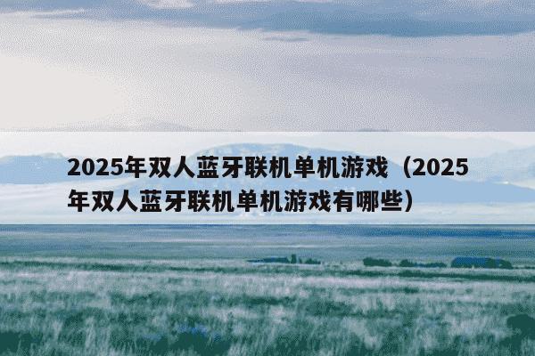 2025年双人蓝牙联机单机游戏（2025年双人蓝牙联机单机游戏有哪些）