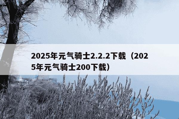 2025年元气骑士2.2.2下载（2025年元气骑士200下载）