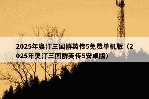 2025年奥汀三国群英传5免费单机版（2025年奥汀三国群英传5安卓版）