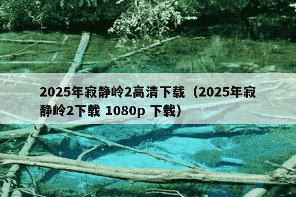 2025年寂静岭2高清下载（2025年寂静岭2下载 1080p 下载）