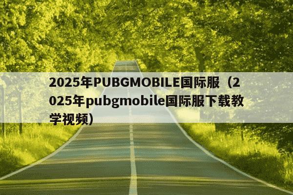 2025年PUBGMOBILE国际服(2025年pubgmobile国际服下载教学视频)