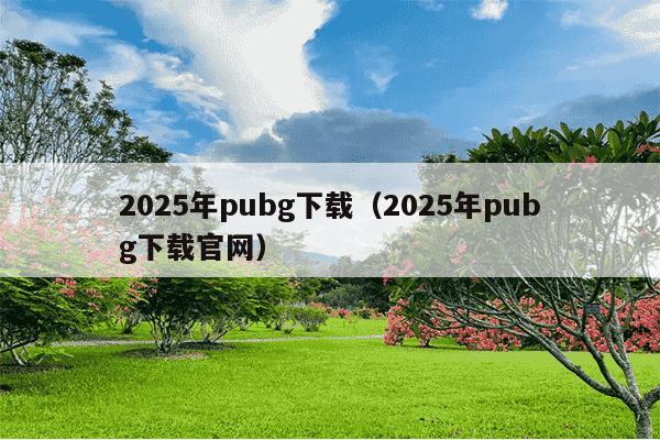 2025年pubg下载（2025年pubg下载官网）