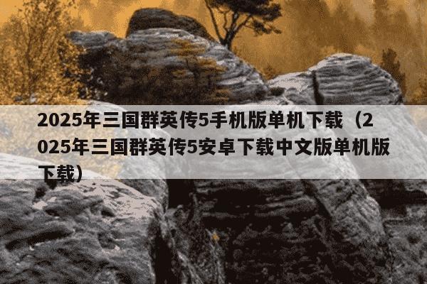 2025年三国群英传5手机版单机下载（2025年三国群英传5安卓下载中文版单机版下载）
