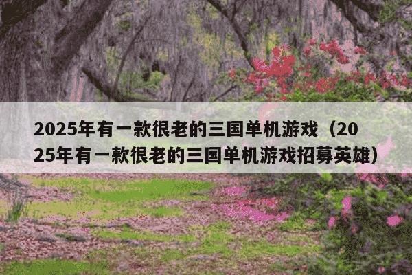 2025年有一款很老的三国单机游戏（2025年有一款很老的三国单机游戏招募英雄）