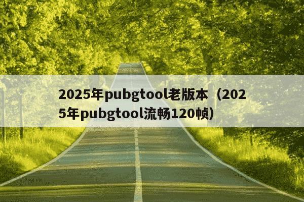2025年pubgtool老版本（2025年pubgtool流畅120帧）