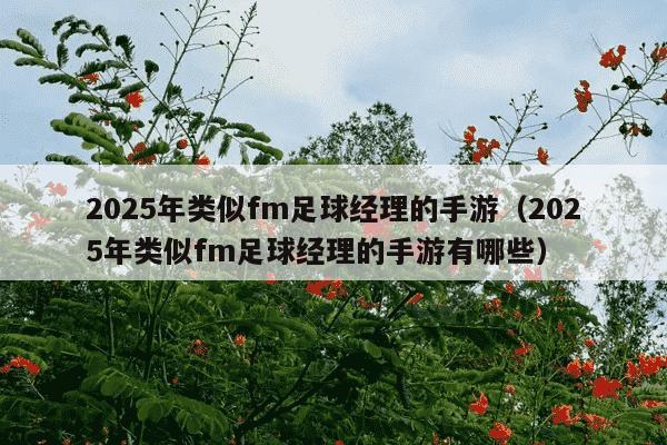 2025年类似fm足球经理的手游（2025年类似fm足球经理的手游有哪些）