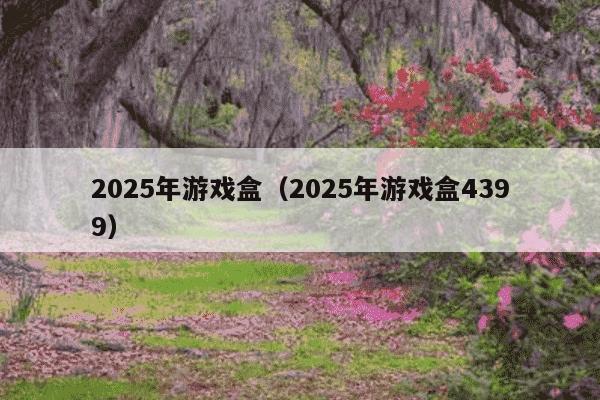 2025年游戏盒（2025年游戏盒4399）