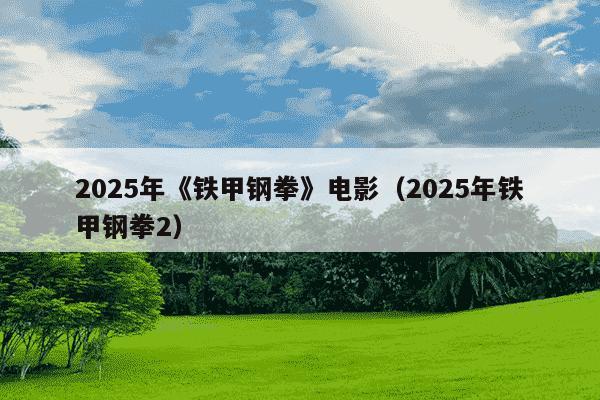 2025年《铁甲钢拳》电影（2025年铁甲钢拳2）
