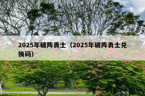 2025年破阵勇士（2025年破阵勇士兑换码）