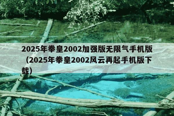 2025年拳皇2002加强版无限气手机版(2025年拳皇2002风云再起手机版下载)
