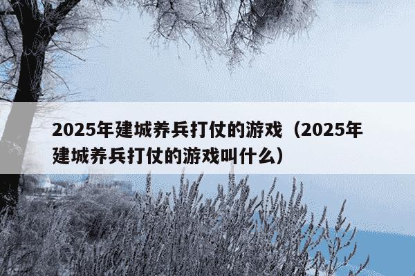 2025年建城养兵打仗的游戏（2025年建城养兵打仗的游戏叫什么）