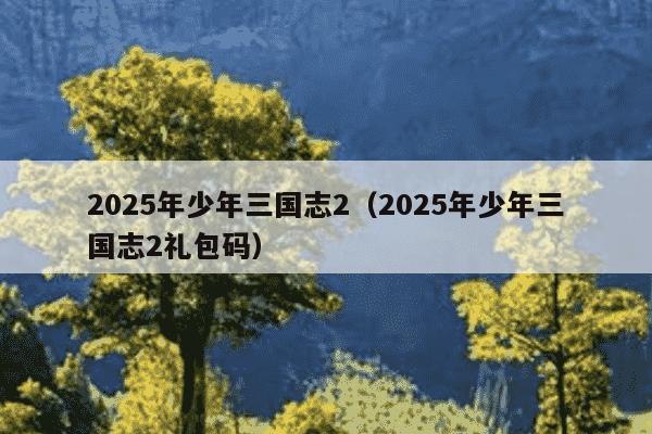 2025年少年三国志2（2025年少年三国志2礼包码）