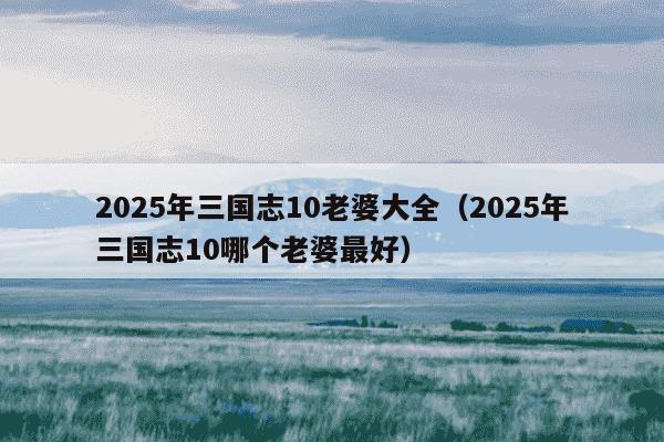 2025年三国志10老婆大全（2025年三国志10哪个老婆最好）