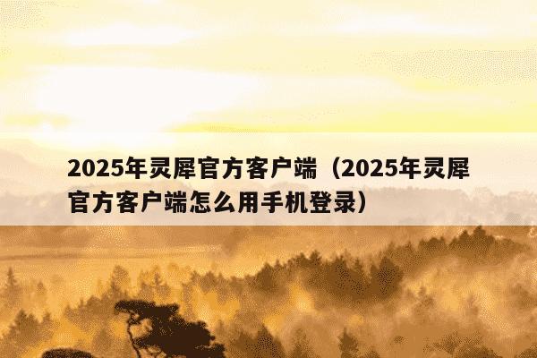 2025年灵犀官方客户端（2025年灵犀官方客户端怎么用手机登录）
