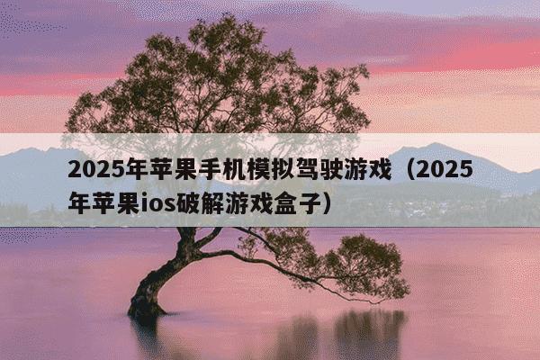 2025年苹果手机模拟驾驶游戏(2025年苹果ios破解游戏盒子)