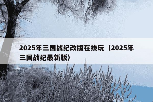 2025年三国战纪改版在线玩（2025年三国战纪最新版）