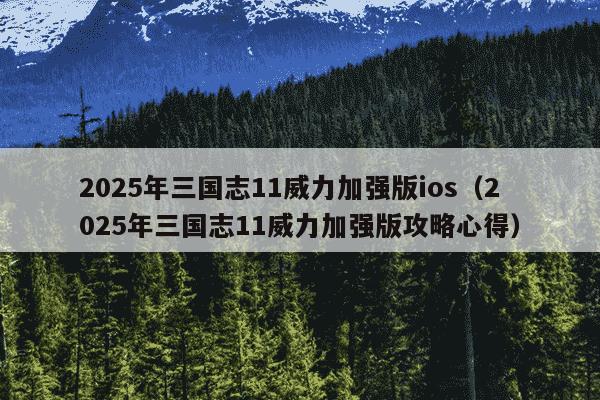 2025年三国志11威力加强版ios（2025年三国志11威力加强版攻略心得）