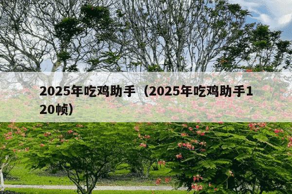 2025年吃鸡助手（2025年吃鸡助手120帧）