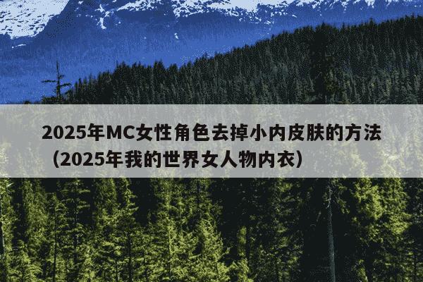 2025年MC女性角色去掉小内皮肤的方法（2025年我的世界女人物内衣）