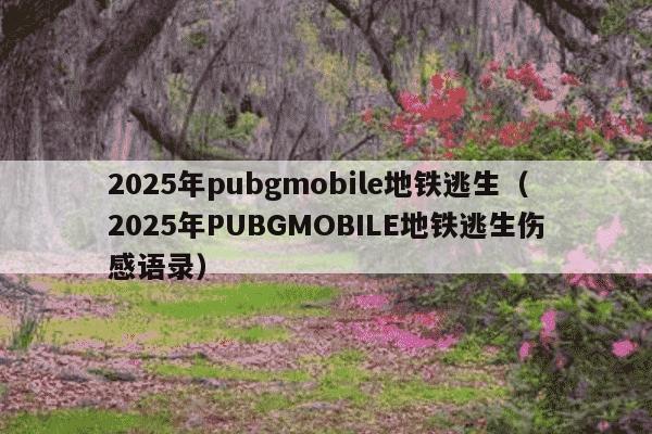 2025年pubgmobile地铁逃生（2025年PUBGMOBILE地铁逃生伤感语录）