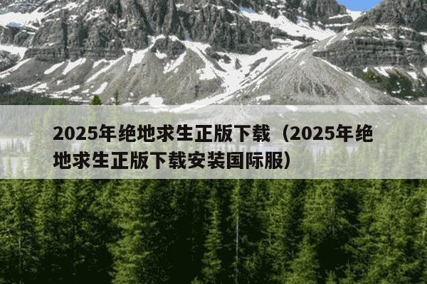 2025年绝地求生正版下载（2025年绝地求生正版下载安装国际服）