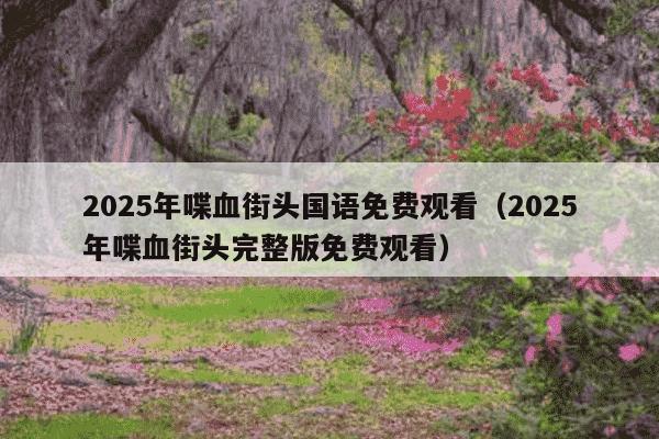 2025年喋血街头国语免费观看（2025年喋血街头完整版免费观看）