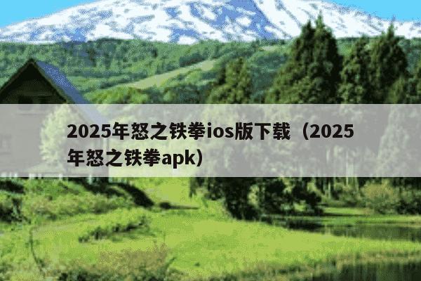 2025年怒之铁拳ios版下载（2025年怒之铁拳apk）