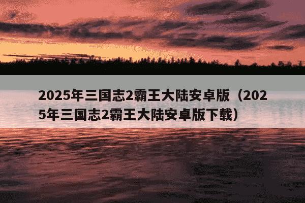 2025年三国志2霸王大陆安卓版（2025年三国志2霸王大陆安卓版下载）