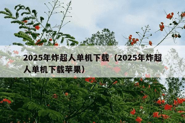 2025年炸超人单机下载（2025年炸超人单机下载苹果）