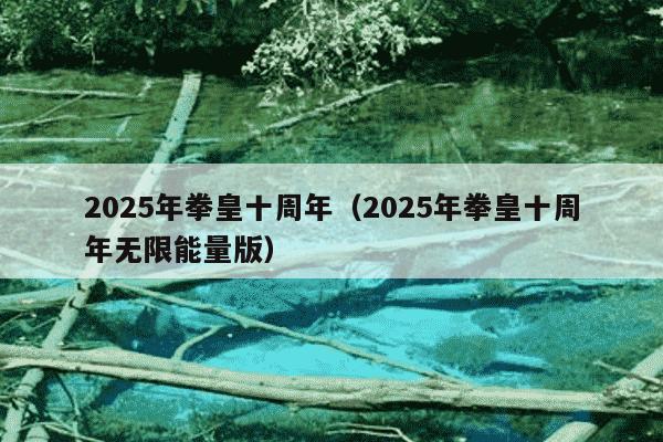 2025年拳皇十周年（2025年拳皇十周年无限能量版）