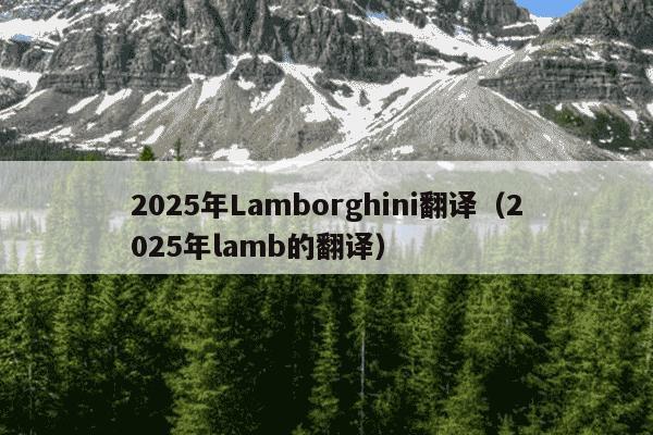 2025年Lamborghini翻译（2025年lamb的翻译）