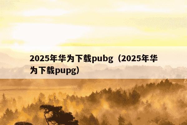 2025年华为下载pubg（2025年华为下载pupg）