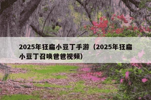 2025年狂扁小豆丁手游（2025年狂扁小豆丁召唤爸爸视频）